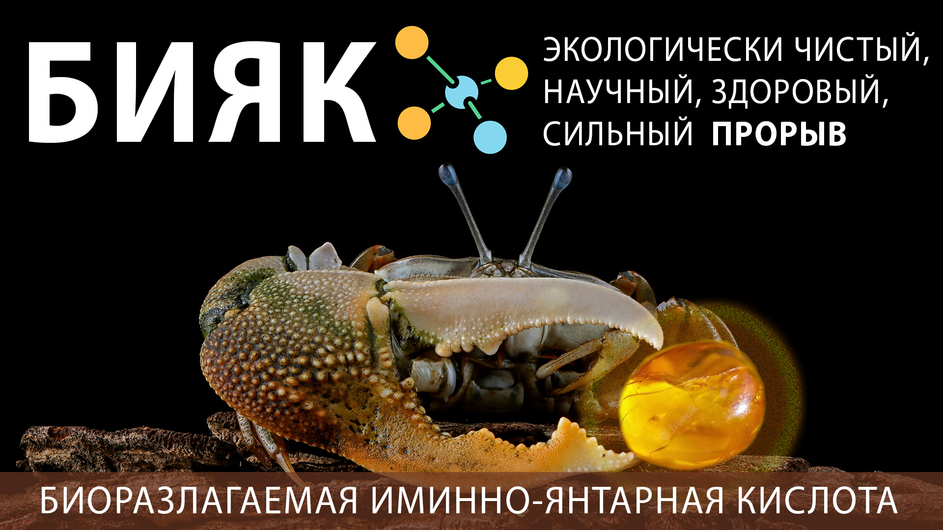 Часто лук двоится – это плохо