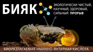 Часто лук двоится – это плохо