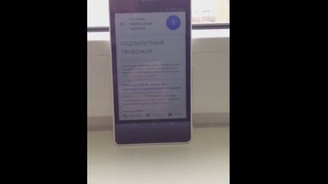 Подзалупный творожок фото