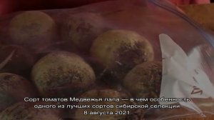 Способы хранения свеклы дома