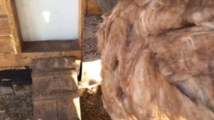 Утепление лаза в курятнике