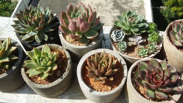  HAPPY TO HAVE SOME GOOD SUN AFTER LONG 