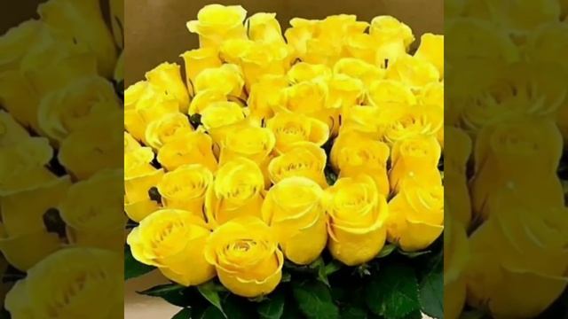 С Юбилеем 75 летием! смотреть онлайн