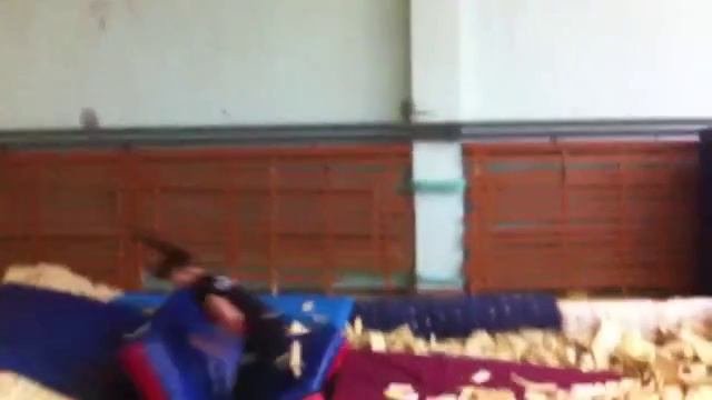 Спорт