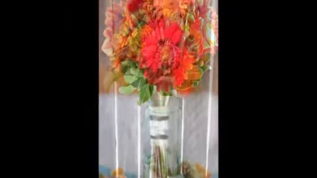 Цветы гербера смотреть онлайн