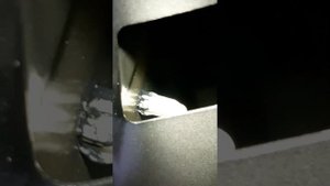 Ford fiesta mk6 вода в багажнику