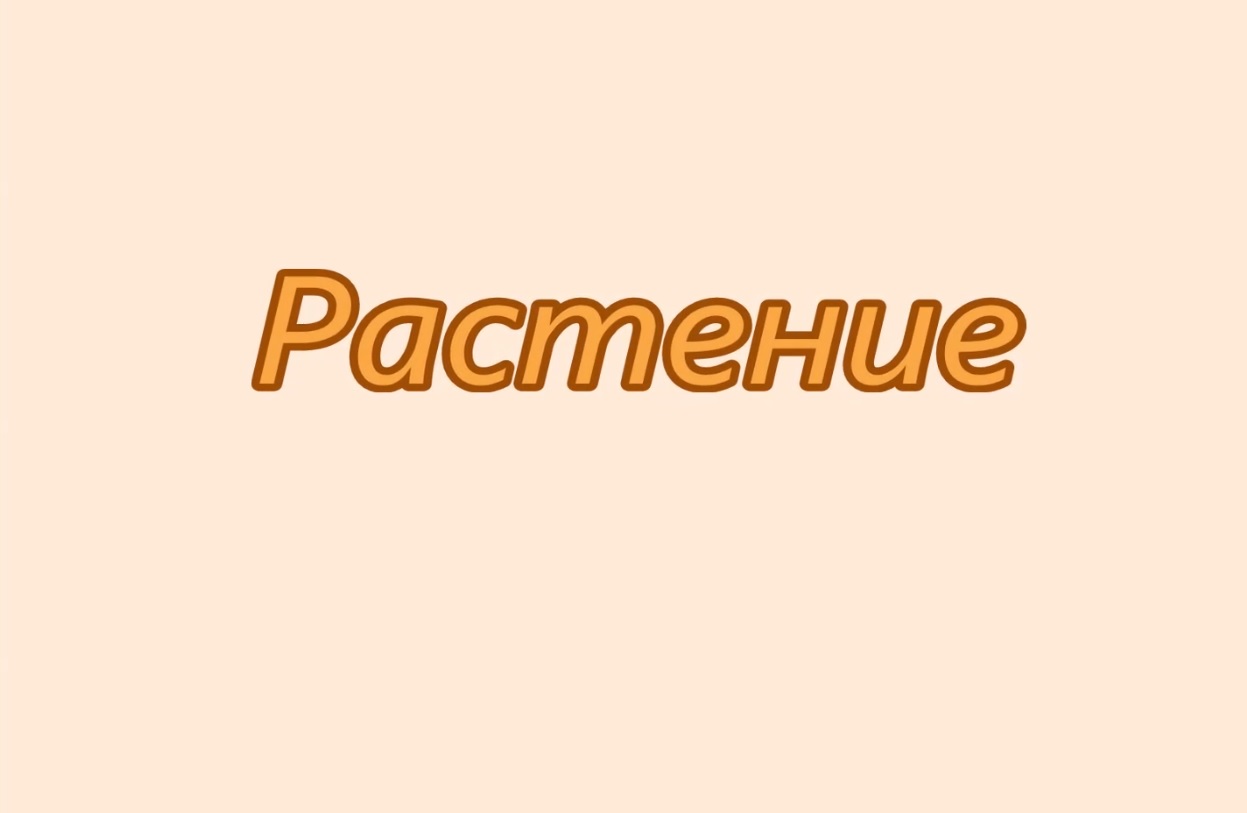 Растение. Мультфильм