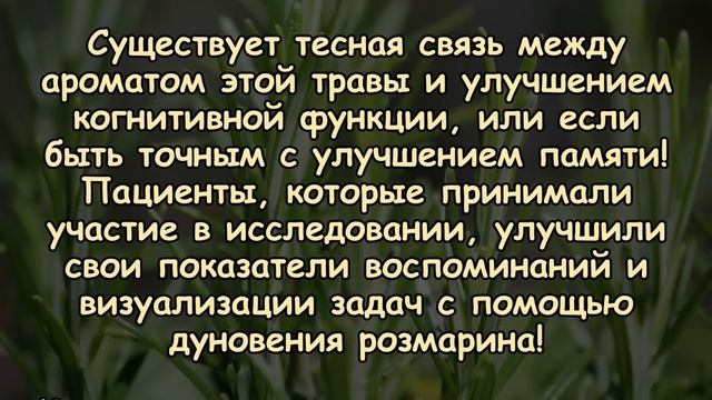 ЭТО РАСТЕНИЕ УВЕЛИЧИВАЕТ ПАМЯТЬ НА 75% смотреть онлайн