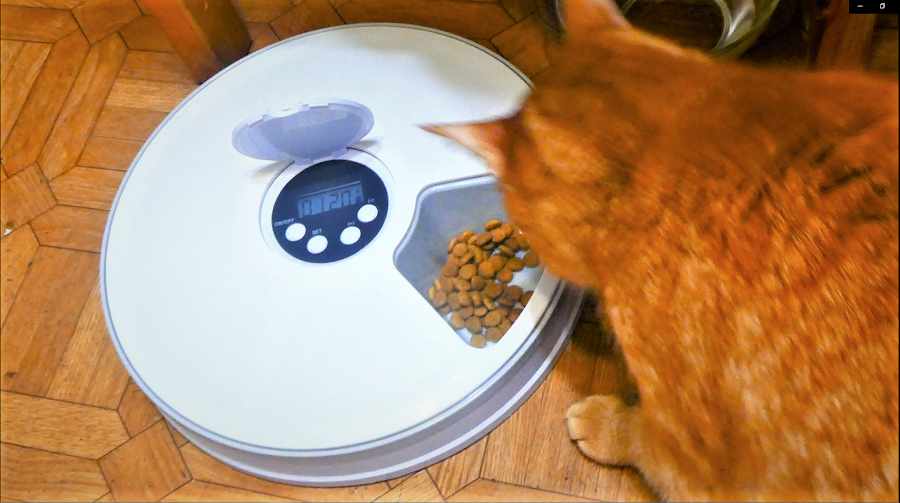 Автоматическая кормушка для кошек и собак для влажного и сухого корма Automatic Pet Feeder 4PLDH5001