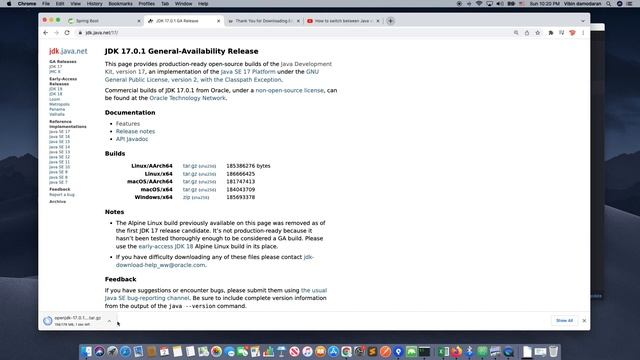 How to Install Java 17 on Mac | Install Java JDK  17 on macOS