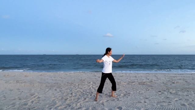 Tai Chi Yang Style 37 Form,  Entire Form in Front View смотреть онлайн