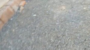 ЛЕГКОВОЙ ОДНООСНЫЙ ПРИЦЕП МЗСА 817705.022  2,73х1,37 ПЕРВЫЕ ВПЕЧАТЛЕНИЯ НА ПРИОБРЕТЕНИЯ ПРИЦЕПА