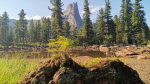 Ергаки. Июль 2024.