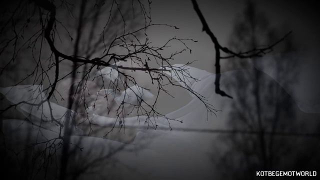 Истории на ночь - МЕРЗКАЯ РОЖА..