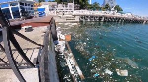 Артбухту Севастополя накрыло строительным мусором 25/06/2018