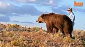 Дружба человека и диких животных