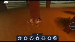 кв/кв/Чёрно ухая/кв спасибо Тёмно лапка! кв/баги/