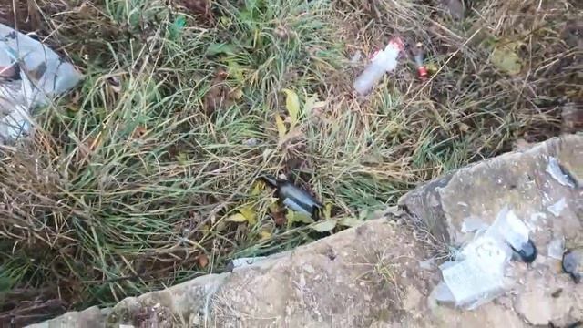 Правила благоустройства. смотреть онлайн