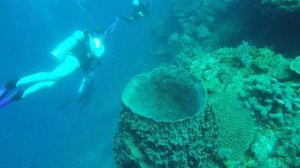 CHAIRLIFT TO THE BEACH? Scuba Dive in Roatan, Honduras