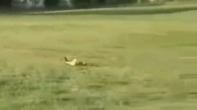 Шикарные модельки 