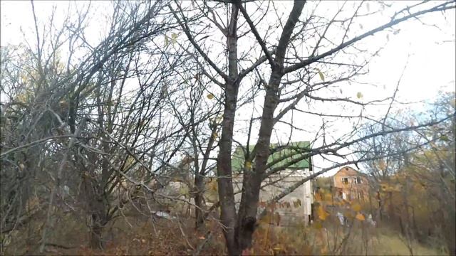 Dacha