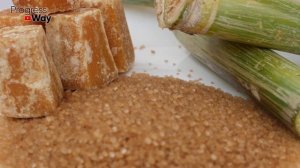 Уникальнейший Способ Укоренить Любой Черенок За 1 День! 100% Рабочий Способ Укоренения Черенков!