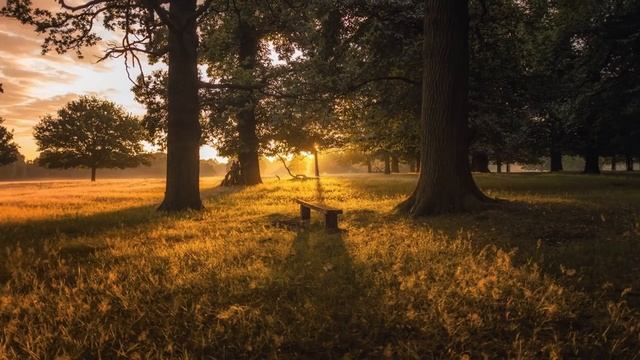 Лечебная музыка расслабление и снятие блоков ♪ Расслабляющая музыка ко сну смотреть онлайн