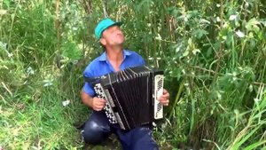 Гармонь играй! Школа жизни /группа Ноль.