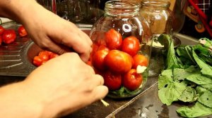 малосольные помидоры