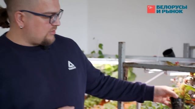Как в Беларуси зарабатывают на рассаде смотреть онлайн