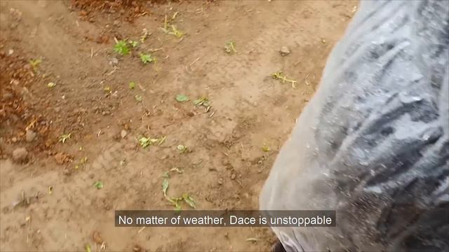 First Year Flower Farming, Growing Cut Flowers смотреть онлайн