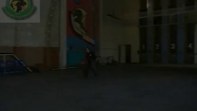 Немецкая овчарка щенки от Aurum Aglis Cera. смотреть онлайн