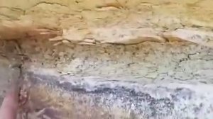 Шок в Чечне найден ковчег НОЯ