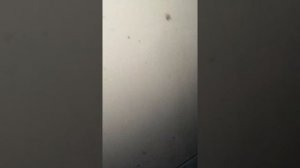 Заливка масла в мкпп Форд Фокус.