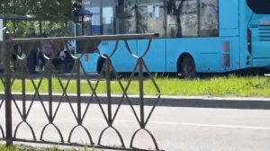 Прогулка по Канонерскому острову