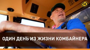 "Голод – не шуточки. Бабка моя говорила". ОДИН ДЕНЬ В ПОЛЕ С КОМБАЙНЕРОМ. Работа далеко не для всех