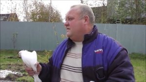 Шатура-суббота-Ижевские голуби)