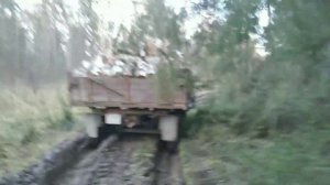 Вывозим дрова на мтз82