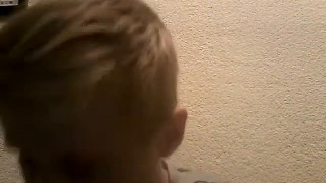 Сколько живут коты?