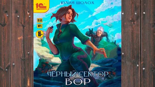 Аудиокнига: Черный сектор. Вор - Юлия Шолох фэнтези смотреть онлайн