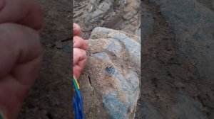 Как накрутить моточасы на МТЗ 82 электронные