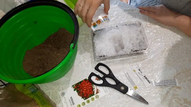 Идея для ужина ?Сею семена земляники ?Закупка продуктов ? смотреть онлайн