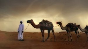 Притча о жизни с моралью. Читает Ярамат.