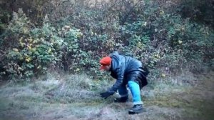 Stupid Mario Brothers - The Final Battle