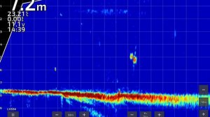 Сомики 3+ кг на Чебоксарском водохранилище