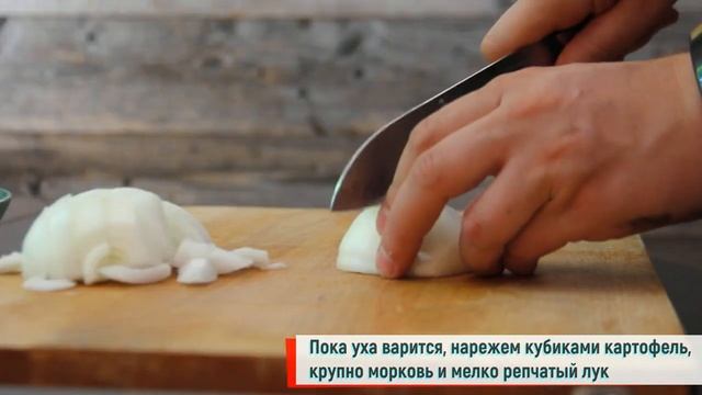 Уха из осетрины