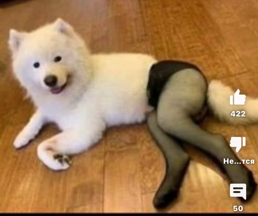 Просто стрим