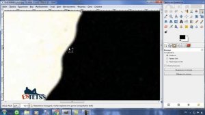 Картинки Векторная графика Фоторедактор GIMP уроки и обзоры. Отрисовка контуром.