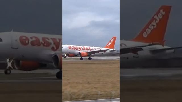 #Shorts easyJet Airbus A319 landing at Stuttgart Airport | Planespotting at Stuttgart Airport