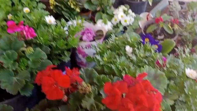 Анталья. Теперь у нас есть надёжный РИЭЛТОР!!! Не удержались от покупки.